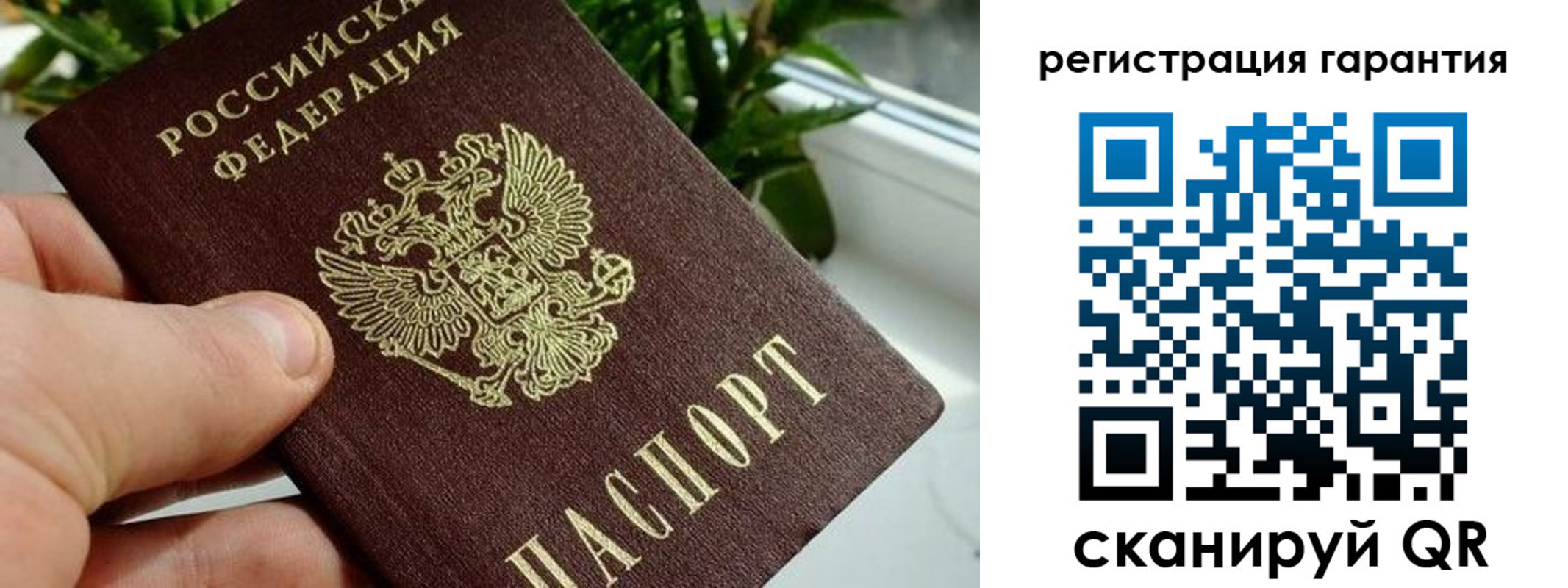временная регистрация надежно в Шали